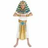 Kids Egyptian Pharaoh Costume 2 Kids Egyptian Pharaoh Costume -Morphsuits Sales Shop m1 2 5 2500