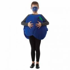 Kids Blueberry Costume